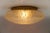 Mid-Century Modern Frosted Ice Glass Flush Mount from Doria Leuchten, Germany, 1960s For Sale - Image 3 of 10