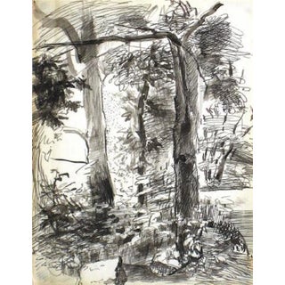 Central Park Study 1940-60s Ink Drawing For Sale