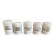 Set of 5 Antique German Apothecary Jars For Sale