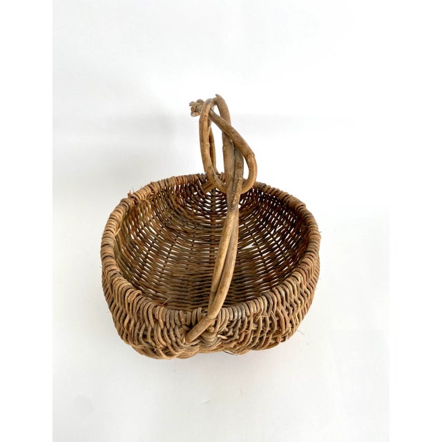 Mid 20th Century Early 20th C Grapevine & Willow Woven Gathering Basket For Sale - Image 5 of 7
