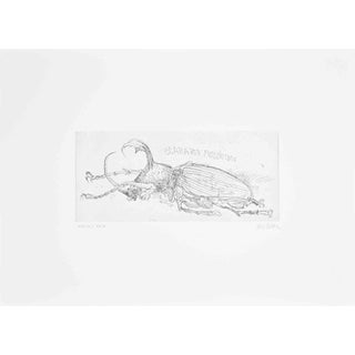 Sergio Barletta, Mexican Beetle, Etching, 1970s For Sale