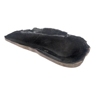 Petrified Wood Round Shape Solid Black Round Bowl Dish Large Plate Ashtray MINT! For Sale