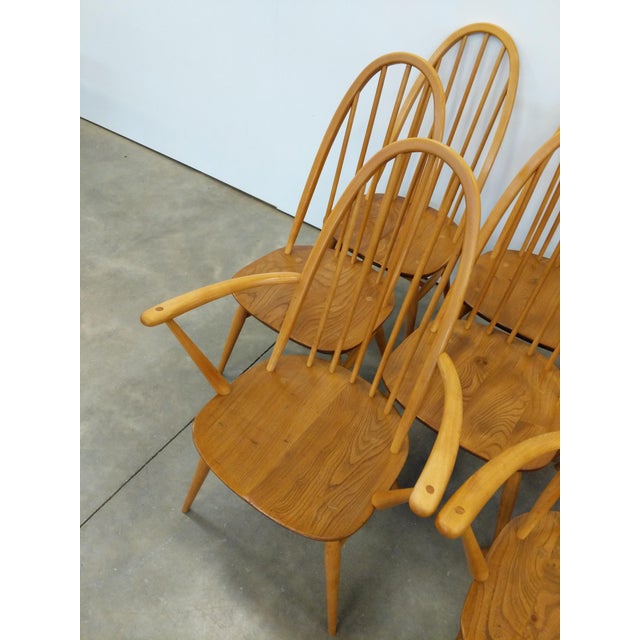 Wood Set of 8 Vintage Mid Century Modern Dining Chairs by Ercol For Sale - Image 7 of 12
