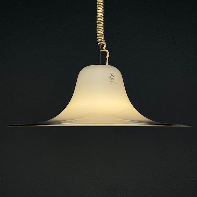 Cinea Murano Pendant Lamp by Giusto Toso for Leucos, Italy, 1970s For Sale - Image 6 of 14
