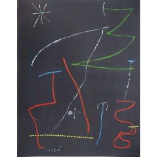 Joan Miro, Bird in the Night, Lithograph For Sale