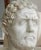 20th Century Marcus Aurelius Antoninus Sculpture in Caracalla Carrara Marble For Sale - Image 3 of 11