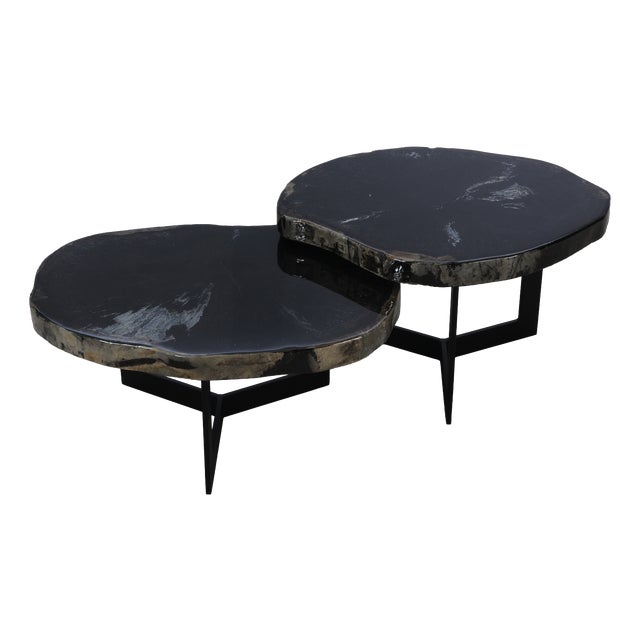 Black Epoxy Covered Petrified Wood Coffee Tables by Xyleia Petrified Wood, Set of 2 For Sale