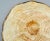 French Trompe l'Oeil Faux Bois Glazed Organic Oyster Plate For Sale - Image 9 of 12