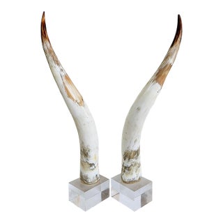 Large Vintage Steer Horns Mounted on Lucite Bases, a Pair For Sale
