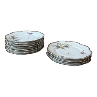 Vintage Porcelain Plates, 1950s, Set of 12 For Sale