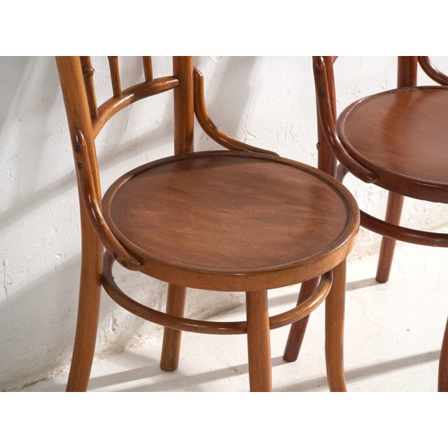 Bentwood Chairs in the style of Thonet, Central Europe, 1930, Set of 4 For Sale - Image 10 of 17