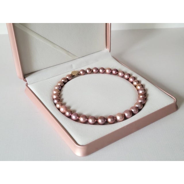 Natural Freshwater Edison Dark Pink Pearl Necklace With 14k Gold Clasp For Sale - Image 15 of 15