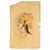 Paper Indian Mughal School, Portrait Miniature of a Princess, 18th Century, Gouache For Sale - Image 7 of 7