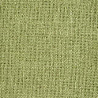 Sanderson Tuscany Fabric in Moss - a Sample For Sale