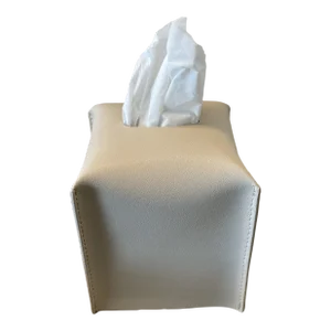 Nicole Sassaman Tissues Box in Beige
