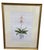 Vintage Framed Botanical Pink Orchid Print in Chinoiserie Cachepot For Sale - Image 4 of 12