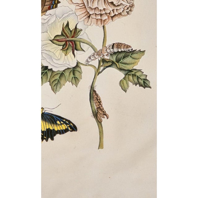 Chinoiserie China Trade Painting of Flowers & Butterflies, Circa 1880 For Sale - Image 3 of 6