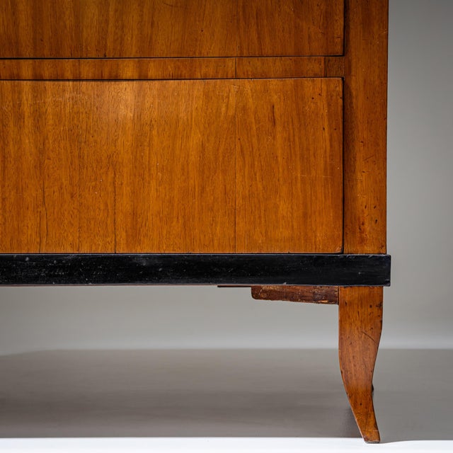 Wood Biedermeier Chest of Drawers, Southern Germany, 1820 For Sale - Image 7 of 10