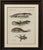 Original antique print of four exotic lizards by bertuch, 1802 original antique hand-colored copper engraving depicting...