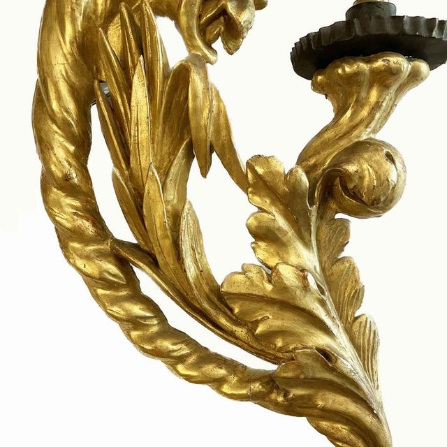Gold 18th Century Gilded Wood and Cornucopia Floral Carving Wall Lights, Set of 2 For Sale - Image 8 of 10