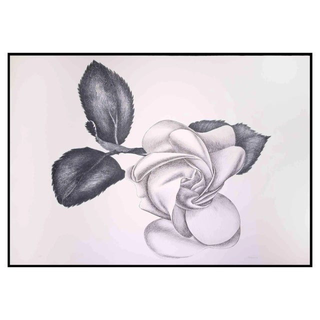 Giacomo Porzano, Black Rose, Original Etching, 1972 For Sale