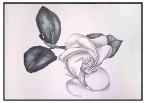Giacomo Porzano, Black Rose, Original Etching, 1972
