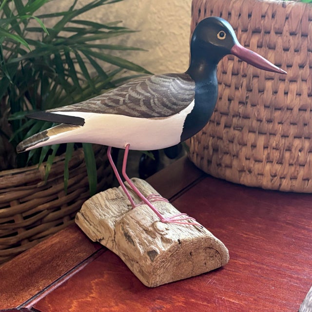 1980's American Oystercatcher Shore Bird Wood Carving Statue Figurine For Sale - Image 12 of 12