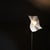 Large Floor Lamp Area 160/210 by Mario Bellini for Artemide, Italy 1974 For Sale - Image 15 of 18