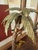 Vintage Frederick Cooper Palm Tree Monkey Table Lamp For Sale - Image 12 of 12
