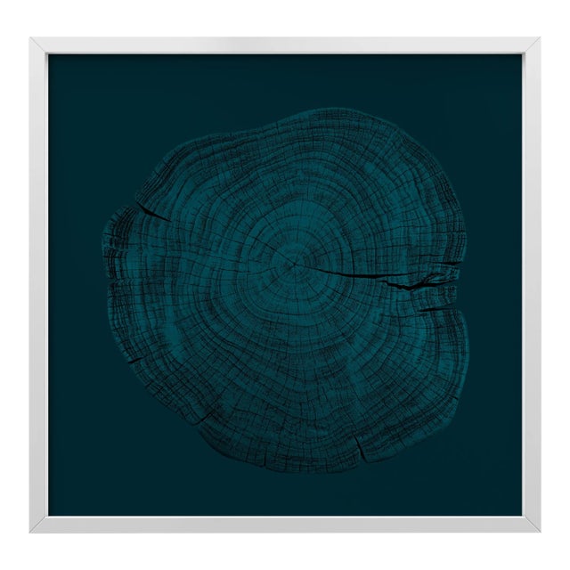 Stump 1 - Variation 15 by Trinette + Chris Print with White Frame - 24 X 24 For Sale