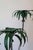 Hollywood Regency 1950s Palm Tree Candle Holders- Set of 2 For Sale - Image 3 of 5