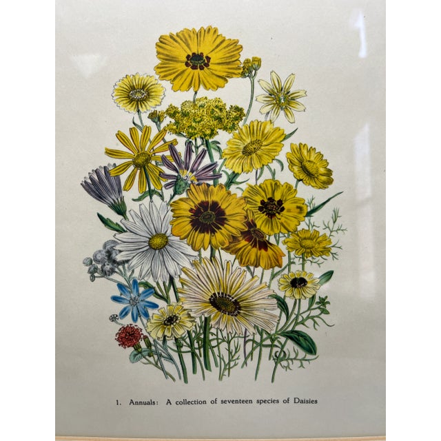 White Two Framed Floral Prints For Sale - Image 8 of 10