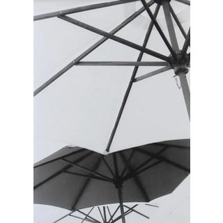 Vintage Umbrella Photograph For Sale