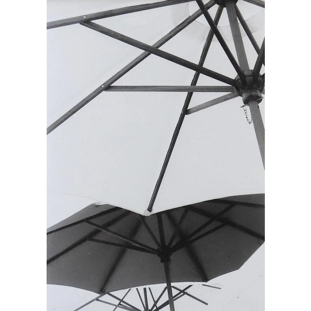 Vintage Umbrella Photograph For Sale