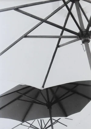 Vintage Umbrella Photograph