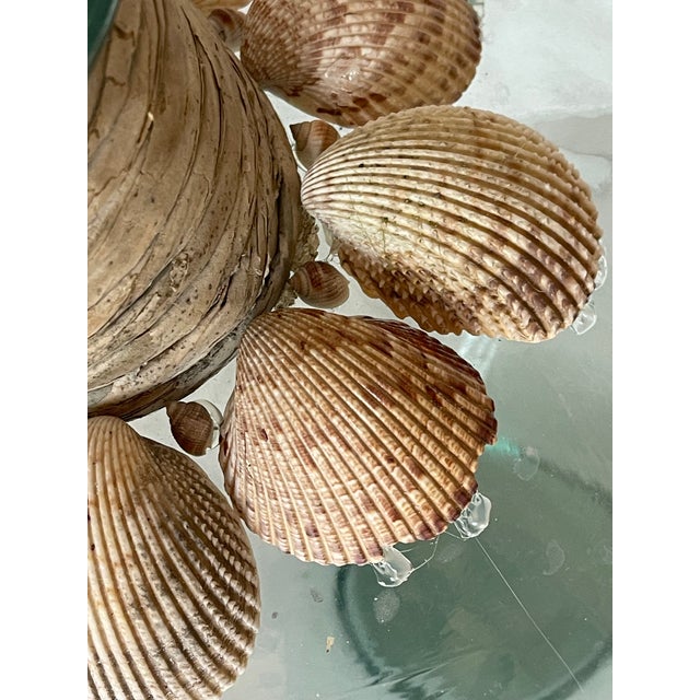 Fabulous Pair of Sea Shells Glass Demijohn Bottles For Sale In Miami - Image 6 of 9