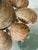 Fabulous Pair of Sea Shells Glass Demijohn Bottles For Sale In Miami - Image 6 of 9