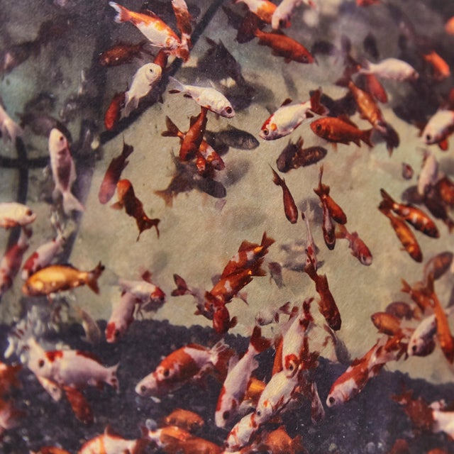 Glass Mouth of Krishna 128 Print by Albarran & Cabrera, 2013 For Sale - Image 7 of 10