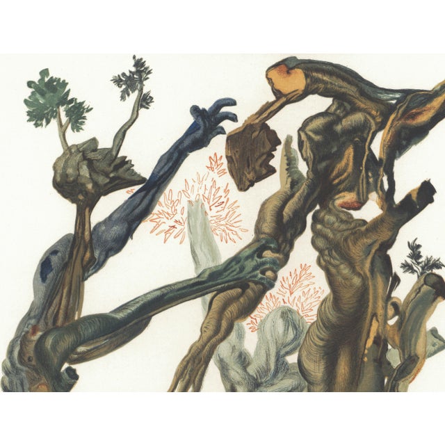 Abstract 1963 Dalí Divine Comedy Engraving Enfer Chant 13 La Forêt Des Suicidés (The Forest of Suicides) For Sale - Image 3 of 8