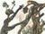Abstract 1963 Dalí Divine Comedy Engraving Enfer Chant 13 La Forêt Des Suicidés (The Forest of Suicides) For Sale - Image 3 of 8
