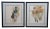 Set of 2 Vintage Henry Koehler Signed Offset Lithographs of Equestrian Jockey Horse Racing For Sale - Image 13 of 13