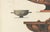 Albert Genick, Greek Kylix, Bowls & Warriors, 1883, Lithograph For Sale - Image 4 of 9