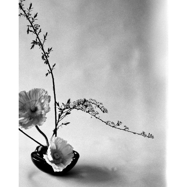 Contemporary Ugne Pouwell, Ikebana, 2024, Photography For Sale - Image 3 of 4