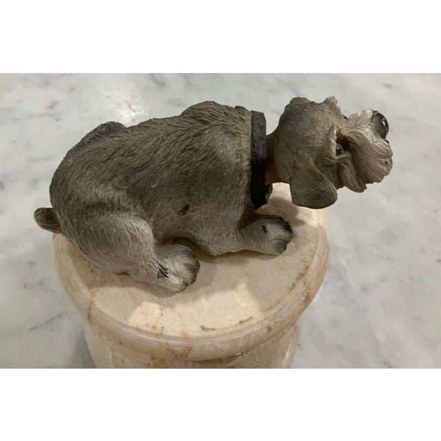 Gray Mid‑Century Bobble Head Yorkshire Terrier Dog Figurine - Nostalgic, Retro & Highly Collectible! Great for Collectors, Kid’s Room, or Dash Board! For Sale - Image 8 of 10