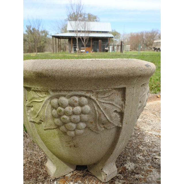 Vintage Concrete Planter Grape Vine Design Chairish
