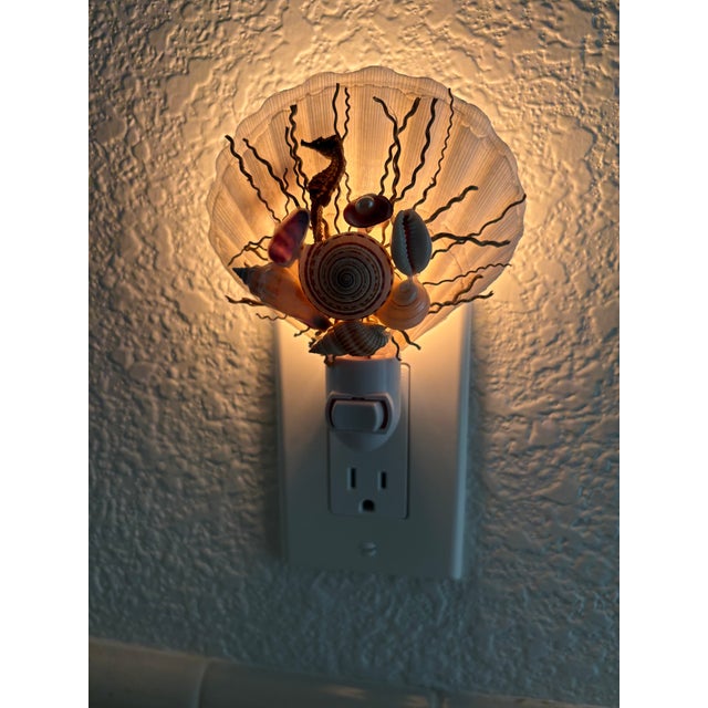 Natural Beach House Seashell Adorned Nightlight For Sale - Image 11 of 11