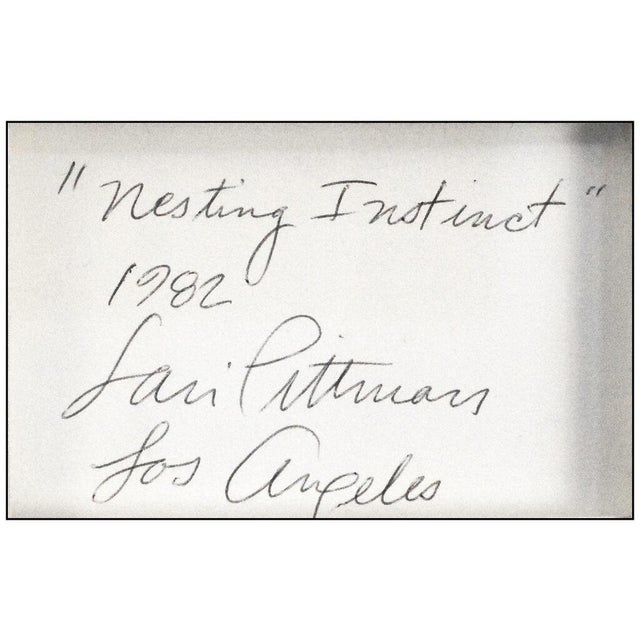 1980s The Nesting Instinct, Lari Pittman For Sale - Image 4 of 5