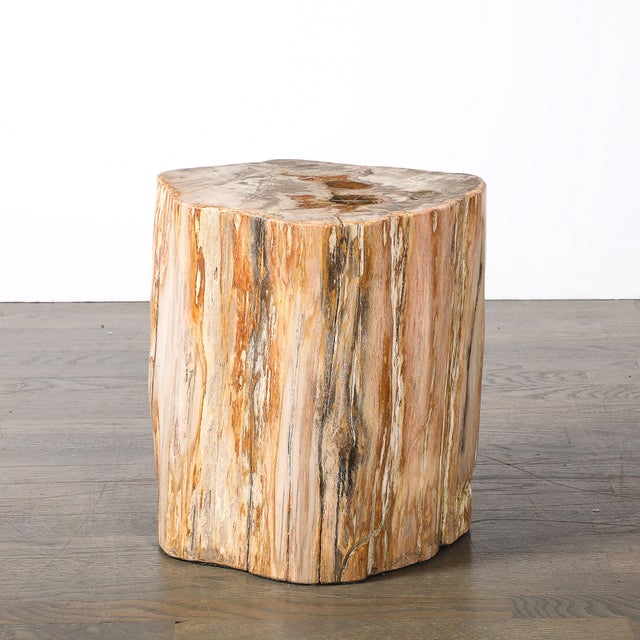 This monolithic Polished Petrified Wood Side Table/Stool with Agate Inclusions and Natural Graining originated in America...