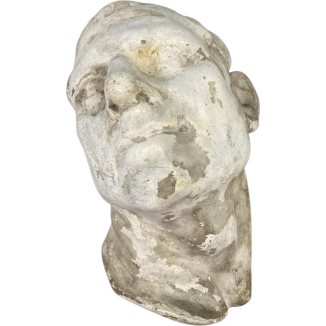 Antique Artist’s Plaster Portrait Head For Sale In Baltimore - Image 6 of 7