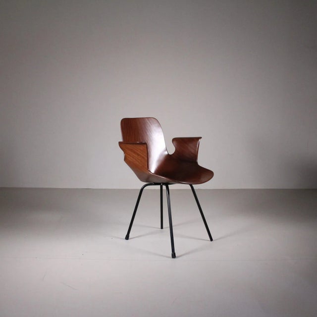 Medea Chairs with Armrests by Vittorio Nobili for Fratelli Tagliabue 1960s, Set of 4 For Sale - Image 5 of 7